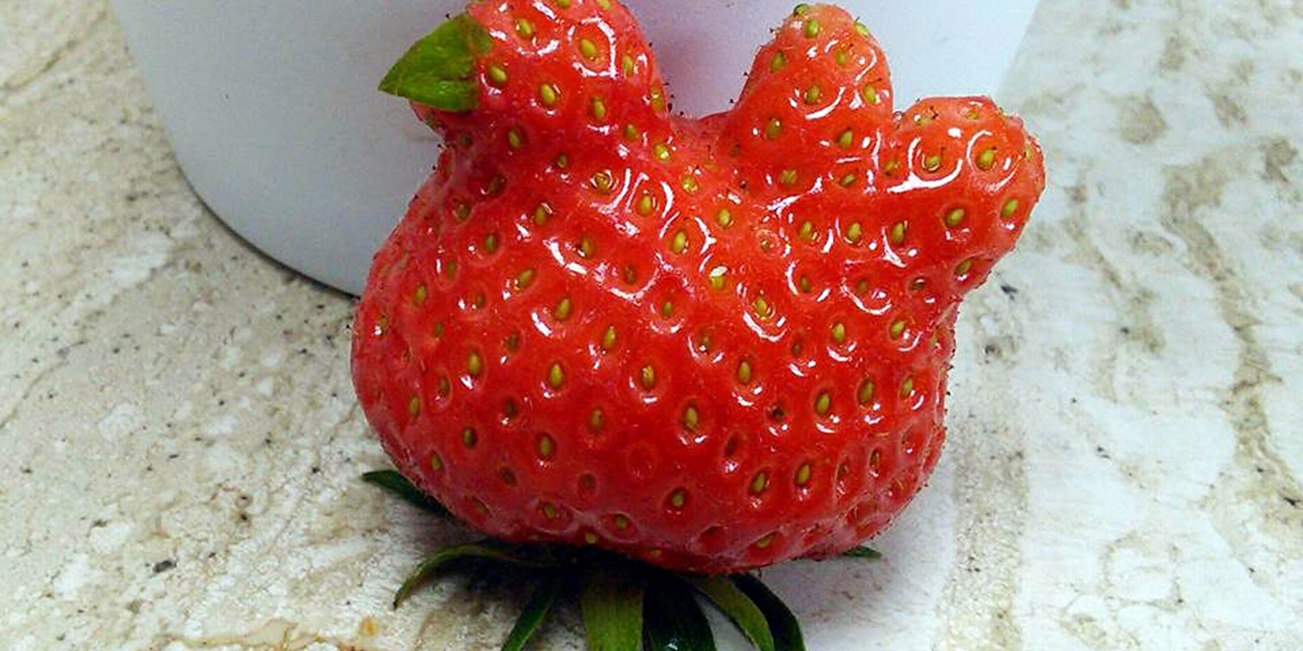 ww-ugly-foods-strawberry_2x1.jpeg