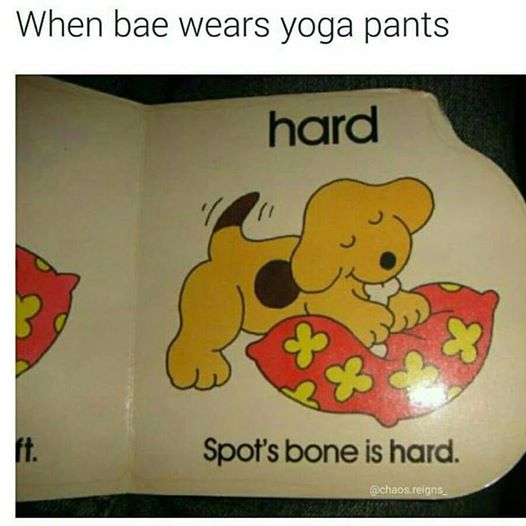 yoga pants.jpg