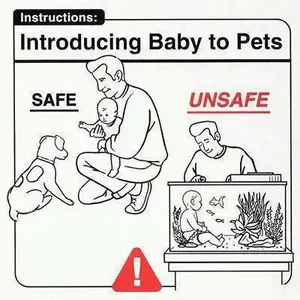 IntroducingBabyToPets.webp