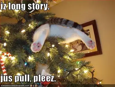 funny-pictures-cat-is-stuck-in-your-christmas-tree.webp