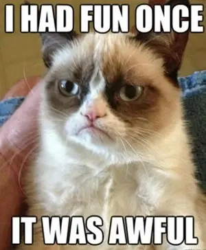 tardar sauce grumpy cat.webp