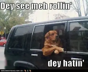 76dd6_funny-dog-pictures-rich-dog-has-haters1.webp