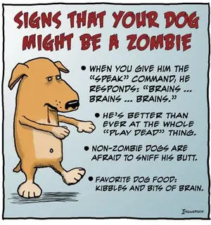 zombiedog.webp