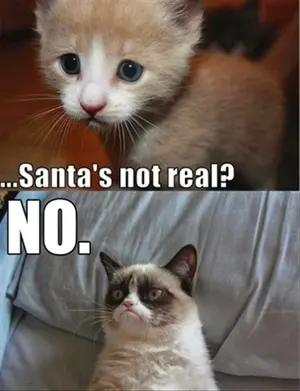 grumpy-cat-christmasthe-christmas-blog-2013--this-christmas-grumpy-cat-and-friends-clv8lffs.webp