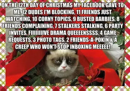 12 days of grumpy cat.webp