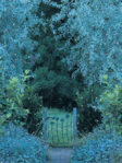 Evening garden gate.png