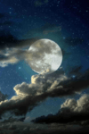 Moonlit night.png