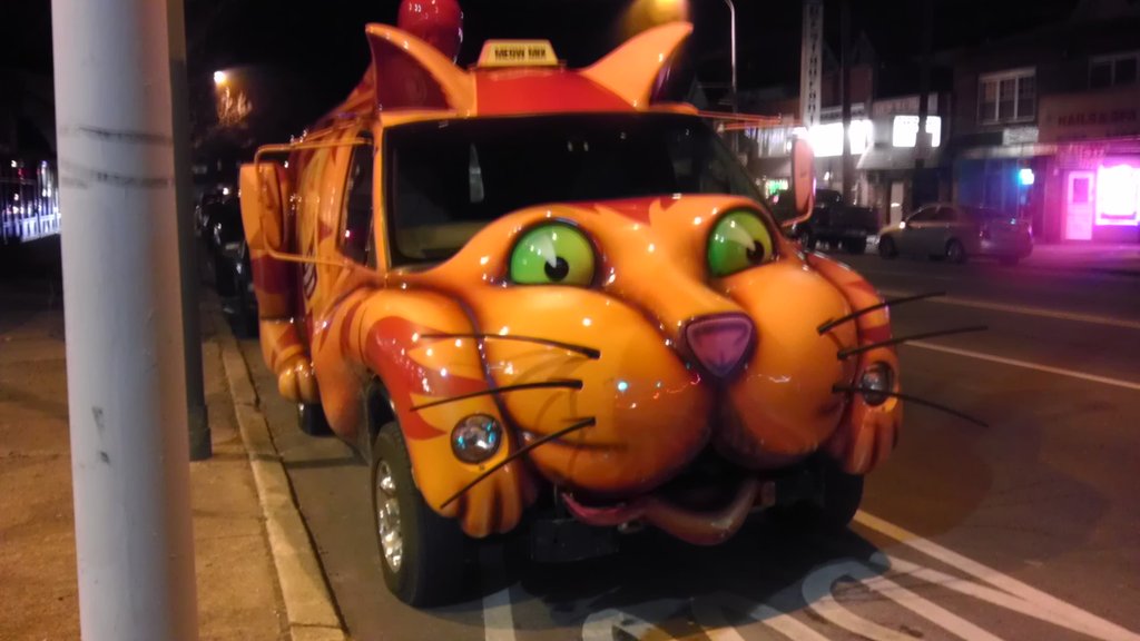 Cat Car.jpg