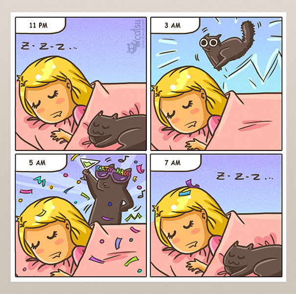 cat comic.jpg