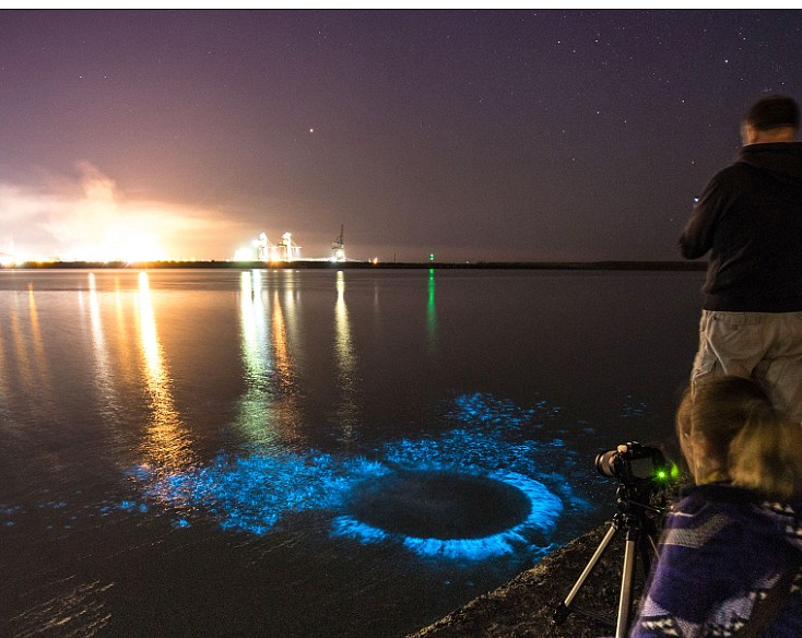 Hottest summer for decades creates a rare and beautiful phenomenon in