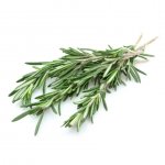 Rosemary2.jpg