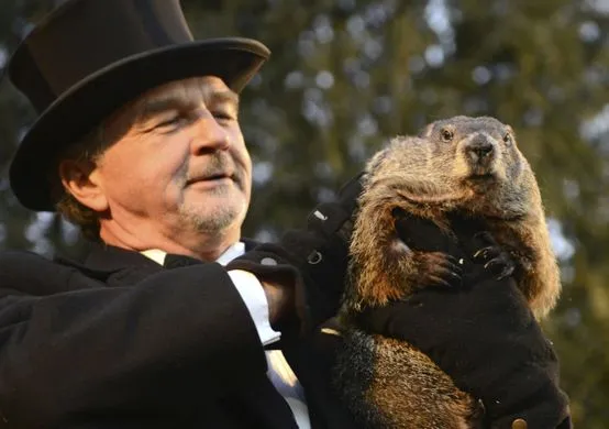 groundhog.webp