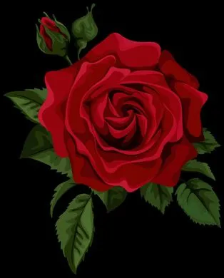 rose.webp