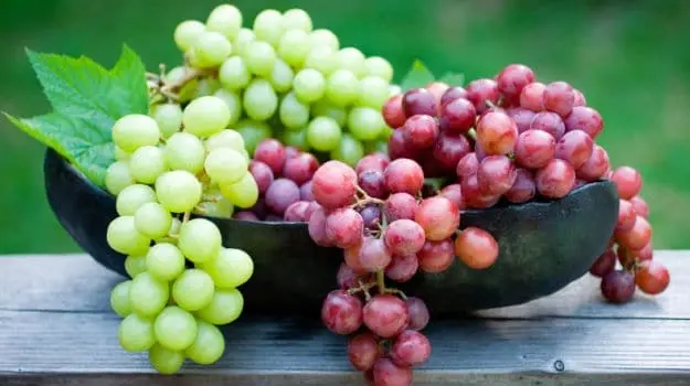 grapes_625x350_61443376353.webp