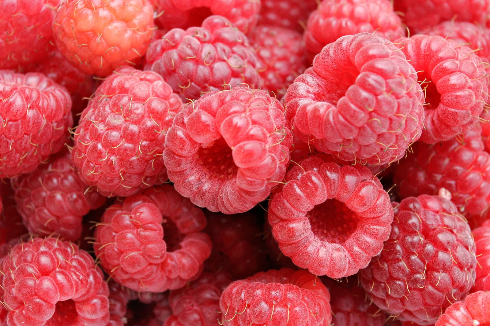 Raspberries05.webp