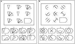 Two-examples-of-matrices-like-those-in-the-Ravens-test-A-Example-of-an-item.jpg