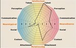 neurodiverse_aspie diagram results_resized.jpg