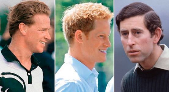 prince-harry-hewitt-charles.png