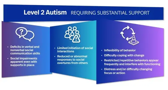 Level-2-autism-infographic.webp