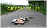 Gibson ES 135 Bild 1.JPG