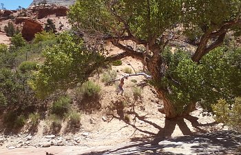 Arizona Vacation 2016 014.jpg