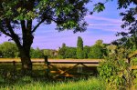 Harnham meadow.jpg