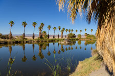 zzyzx-mineral-springs-california-5073.jpg