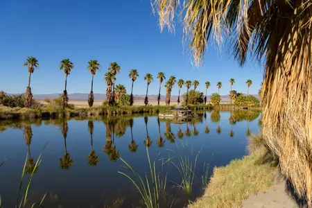 zzyzx-mineral-springs-california-5073.webp