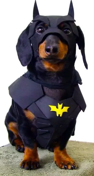 batman.webp