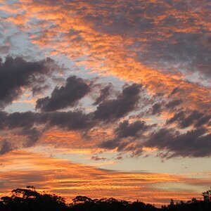 Home in Australia