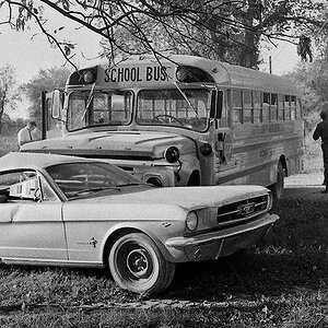 School bus crossing