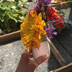 Seed-grown bouquet