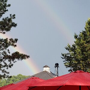 double rainbow