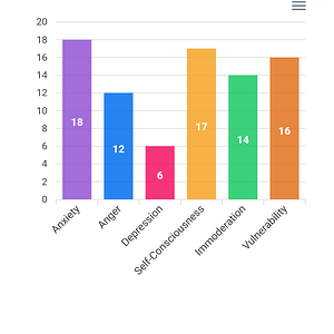 Neuroticism