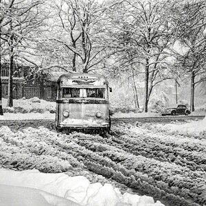 1942 Washington DC Bus