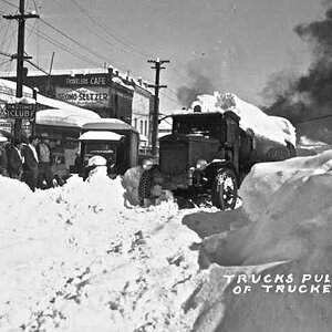 Trucks on snow day