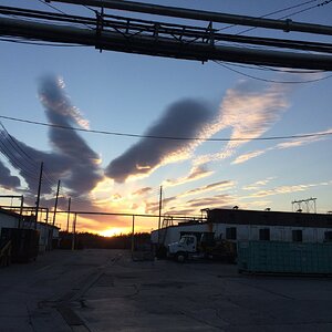 Mushroom farm sunrise