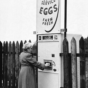 Egg Machine