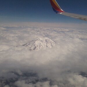 mount rainier in wa