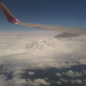 mount rainier in wa