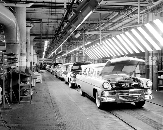 1955 Fords