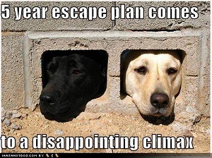 5 year escape plan