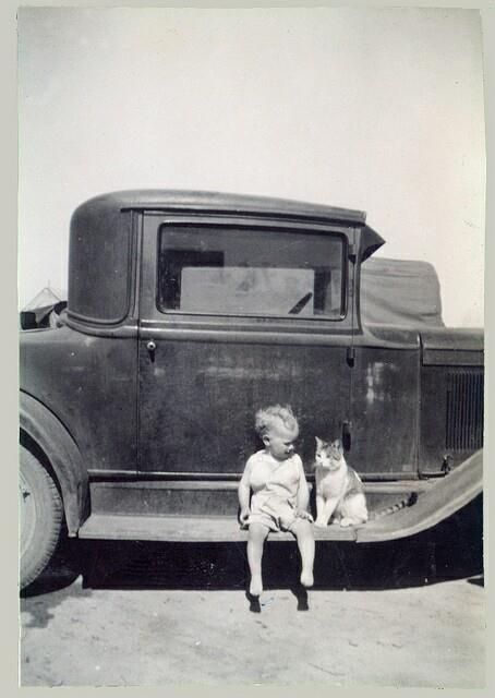 A boy and his cat