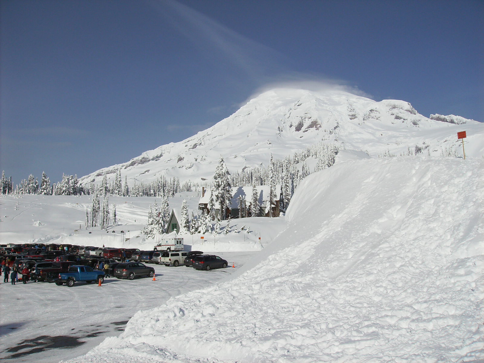 at paradise on mount rainier