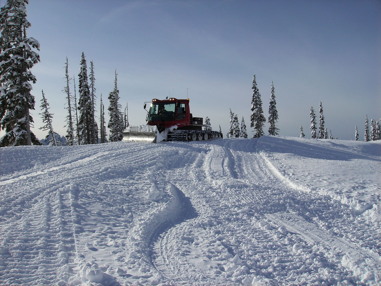 at paradise on mount rainier