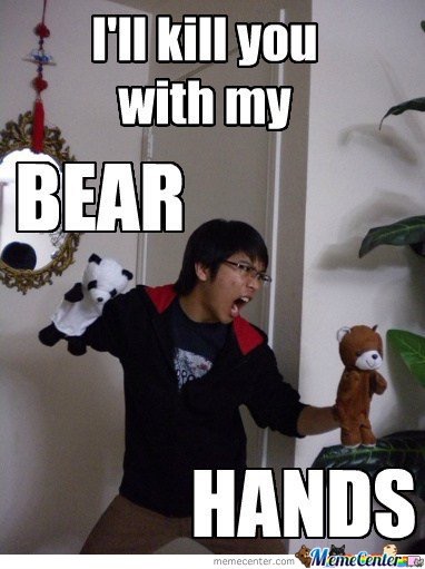 Bear Hands