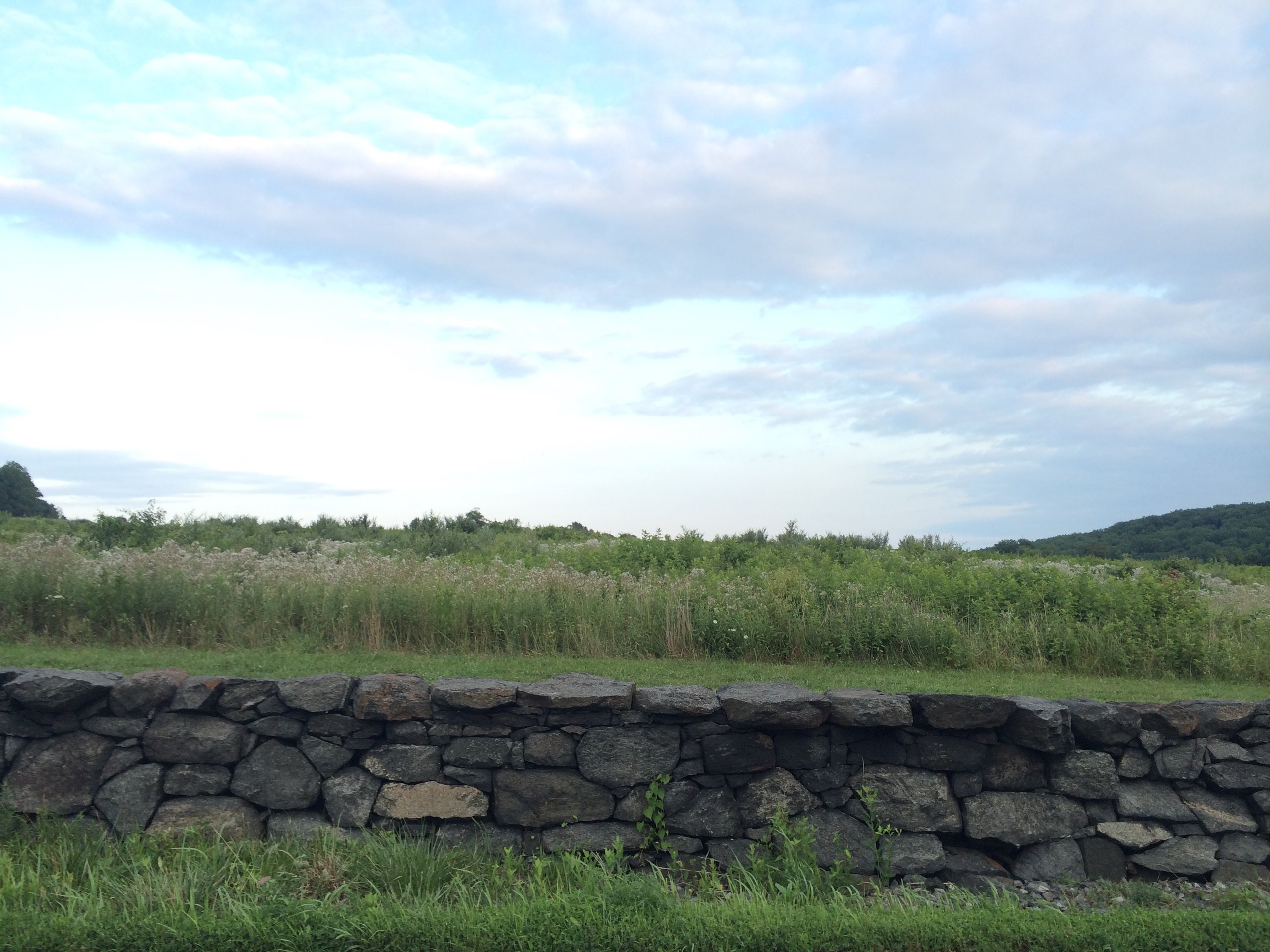 Brandywine Battlefield, Delaware