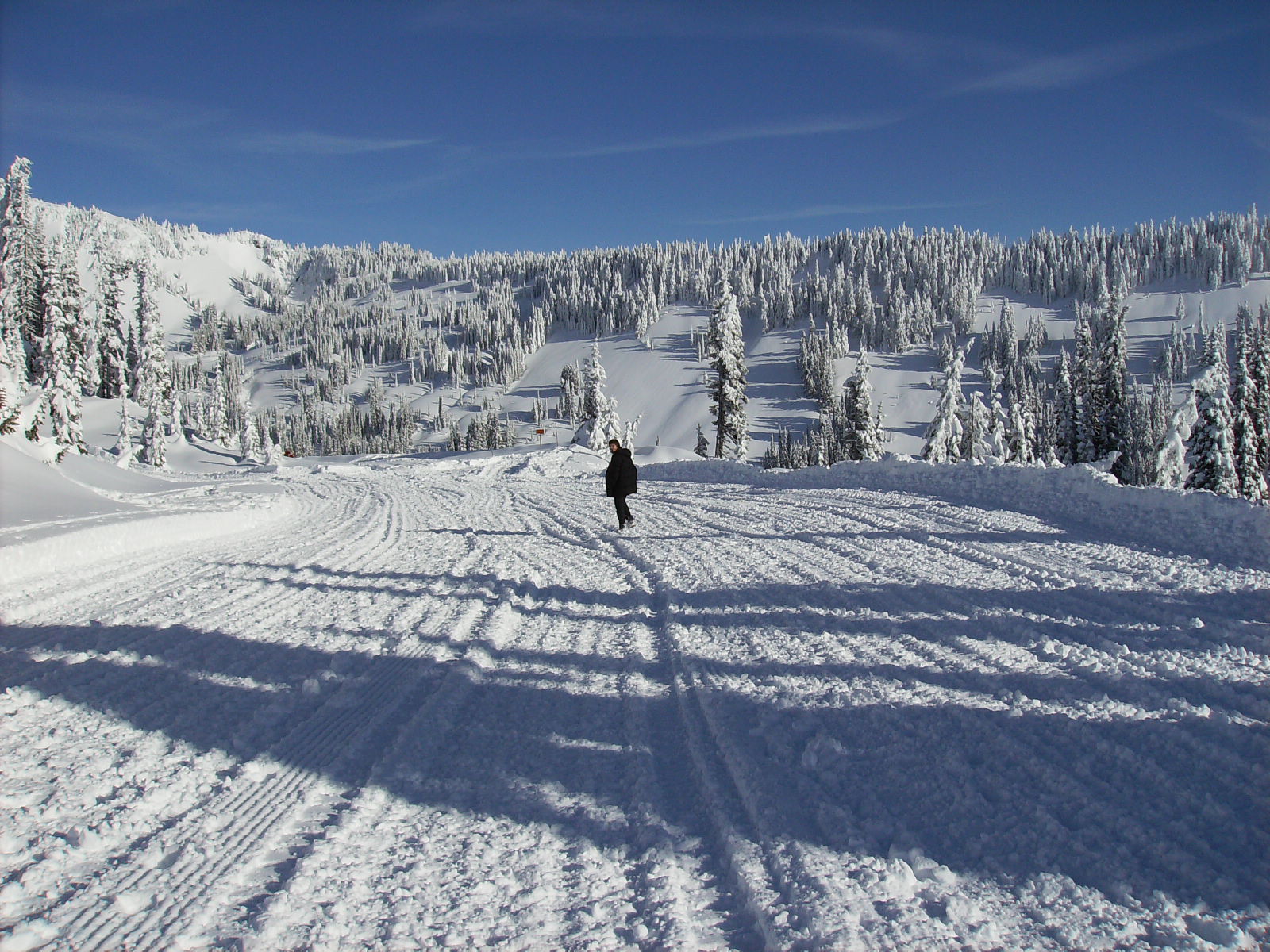 follow me through the middle of the snow in paradise