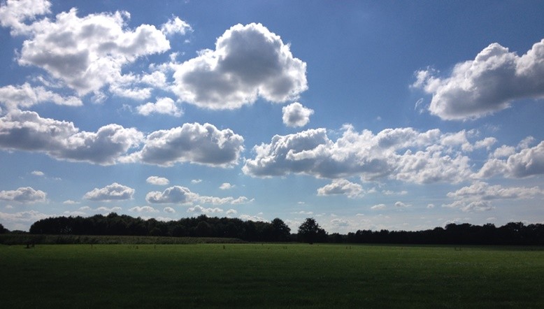 Grassland and Sky