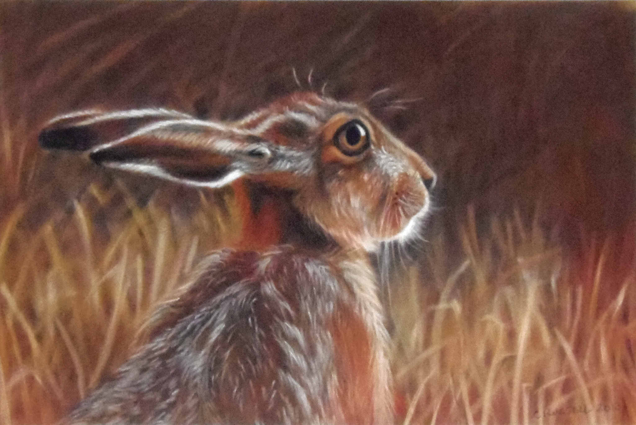 Hare In The Hay